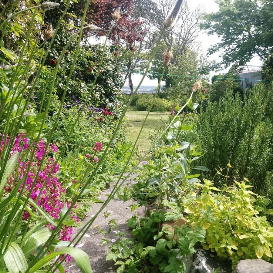 Unique Townhouse With Large Garden Down To The Sea Villa Killough Eksteriør billede